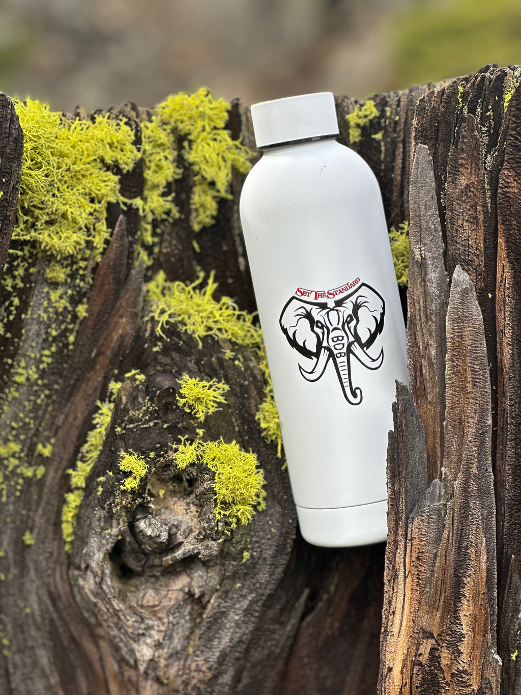 Hot/Cold 24oz canteen thermos