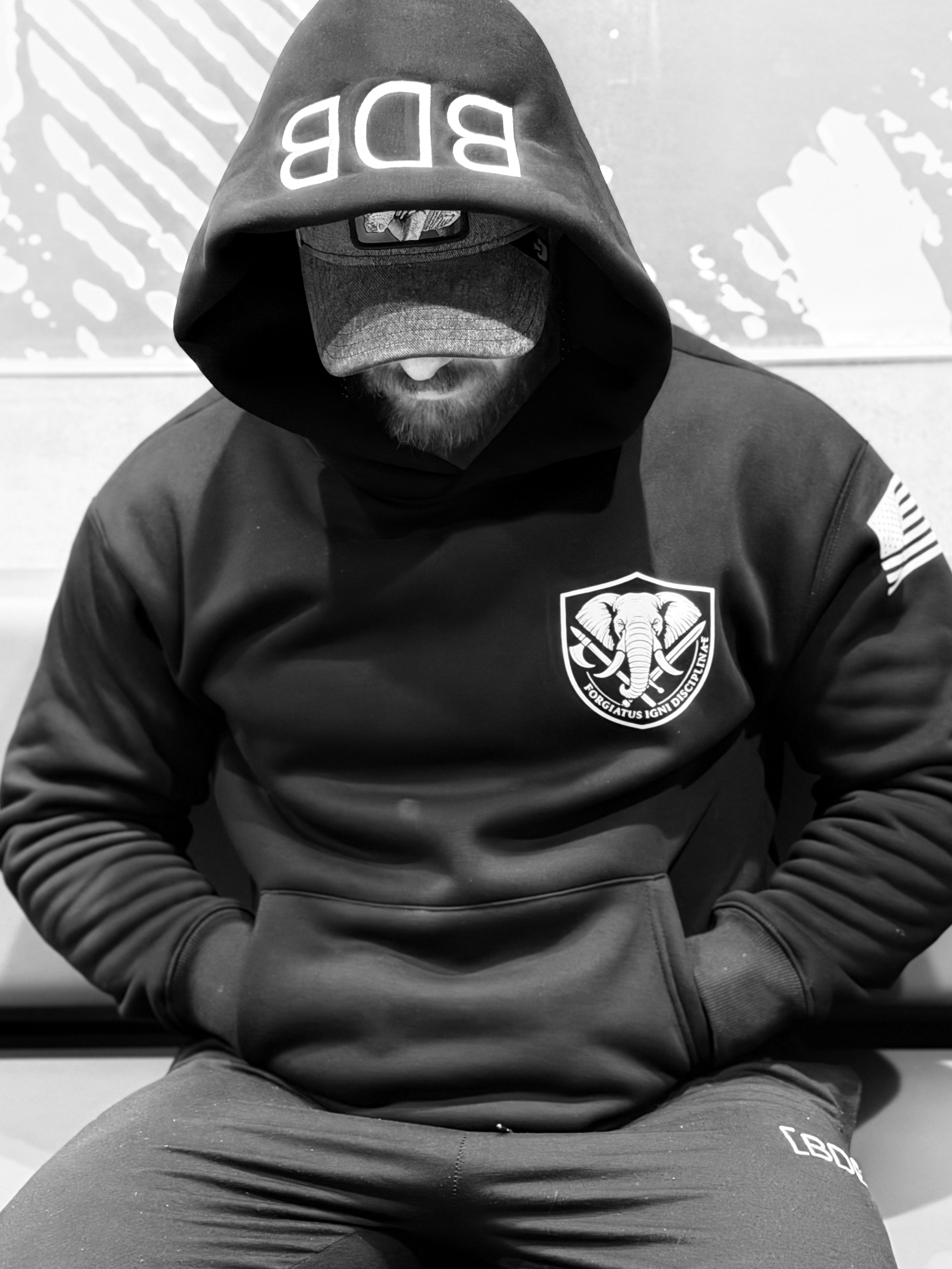 Iron Sharpens Iron. Hoodie